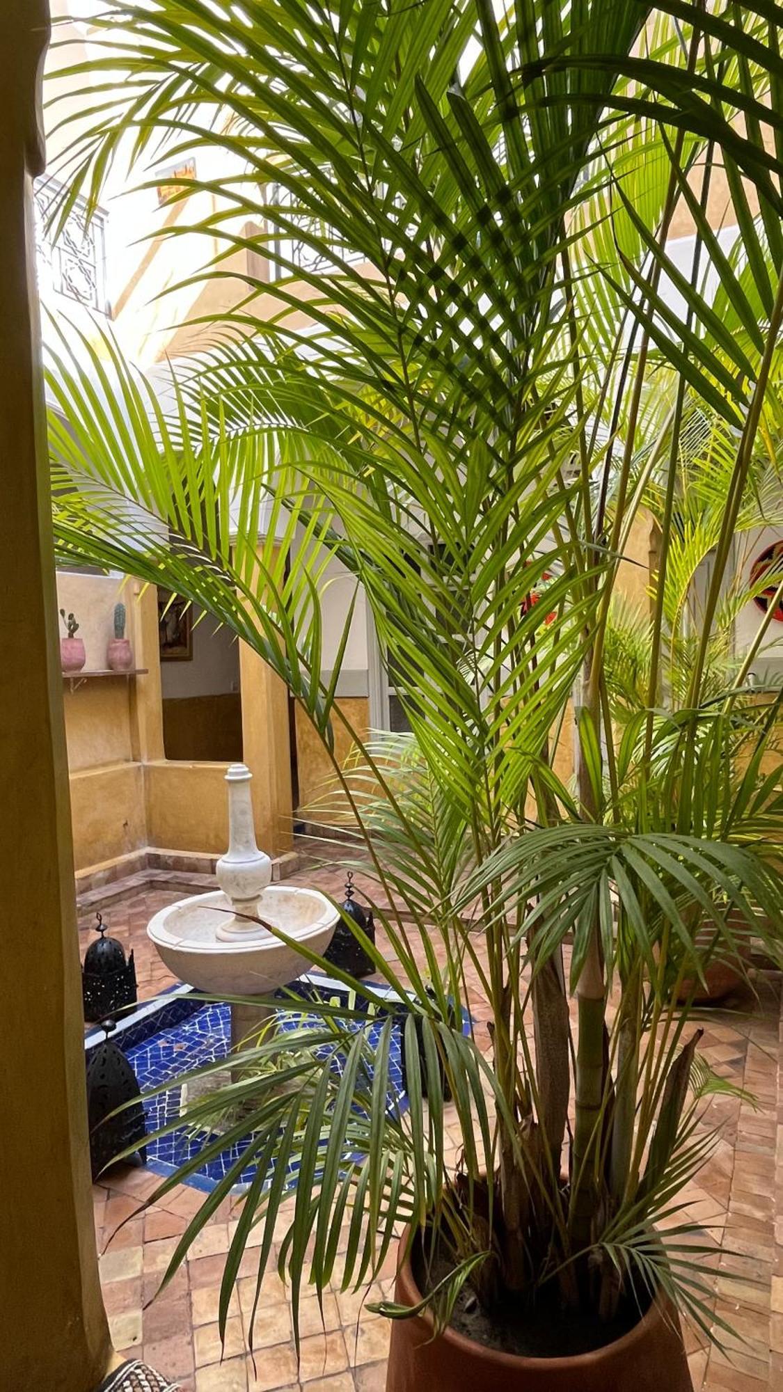 Riad Laila Marrakesh Exteriör bild